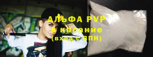 хмурый Верея